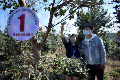 http://sky.hbeu.cn/__local/B/81/AB/BDF3C9AC81A00130BEB3BE370CE_8763FEAA_C89D3.png